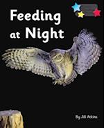 Feeding at Night