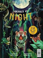 Glow in the Dark: Animals at Night