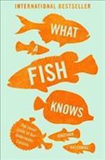 What a Fish Knows