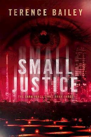 Small Justice