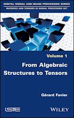 From Algebraic Structures to Tensors