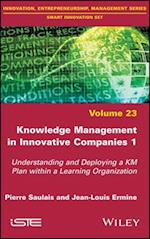 Knowledge Management in Innovative Companies 1 – Understanding and Deploying a KM Plan within a Learning Organization