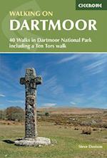 Walking on Dartmoor