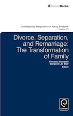 Divorce, Separation, and Remarriage