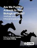 Are We Pushing Animals to Their Biological Limits? : Welfare and Ethical Implications