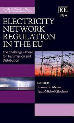 Electricity Network Regulation in the EU