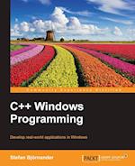 C ++ Windows Programming