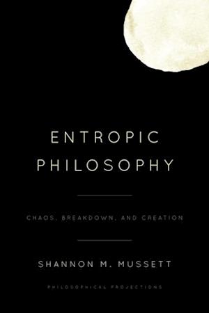 Entropic Philosophy