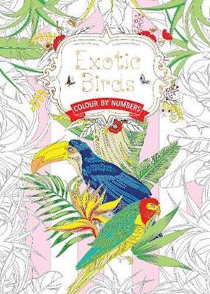 Exotic Birds (Colouring Book, by Numbers)