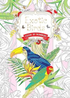 EXOTIC BIRDS US