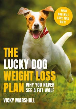 Lucky Dog Weight Loss Plan