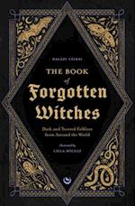 The Book of Forgotten Witches