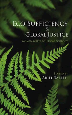 Eco-Sufficiency and Global Justice