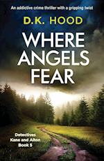 Where Angels Fear