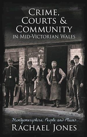 Crime, Courts and Community in Mid-Victorian Wales