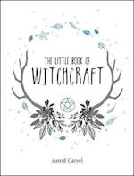 The Little Book of Witchcraft