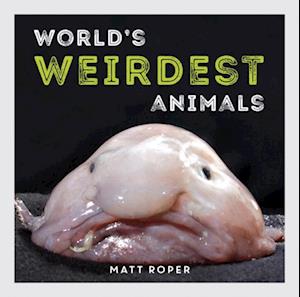 World's Weirdest Animals