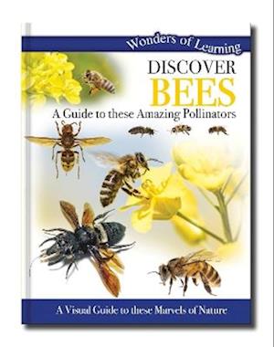 Discover Bees