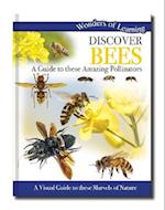 Discover Bees