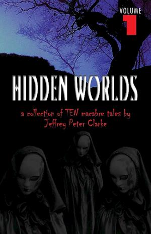 Hidden Worlds - Volume  1