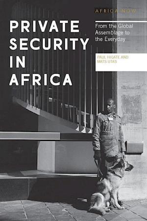 Private Security in Africa