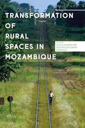 Transformations of Rural Spaces in Mozambique