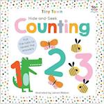 Hide-and-Seek Counting