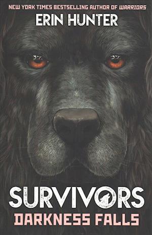 Survivors Book 3: Darkness Falls