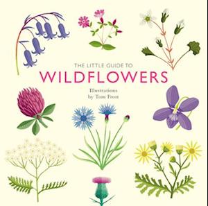 The Little Guide to Wildflowers