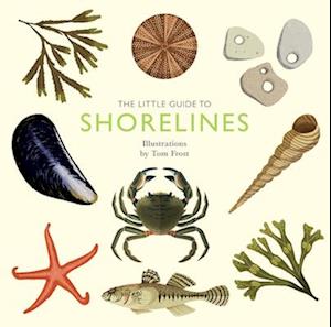 The Little Guide to Shorelines