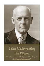 John Galsworthy - The Pigeon