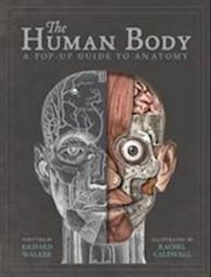 The Human Body