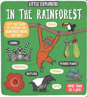 Little Explorers: In the Rainforest