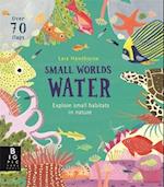 Small Worlds: Water