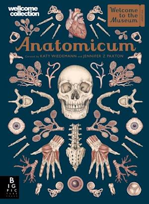 Anatomicum