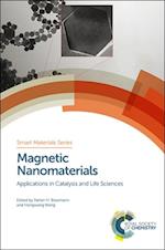 Magnetic Nanomaterials