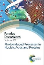 Photoinduced Processes in Nucleic Acids and Proteins