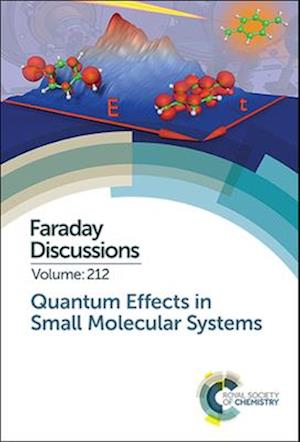 Quantum Effects in Small Molecular Systems