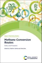 Methane Conversion Routes