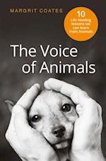 Voice of Animals