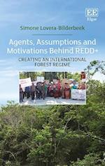 Agents, Assumptions and Motivations Behind REDD+