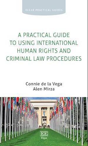 A Practical Guide to Using International Human Rights and Criminal Law Procedures