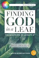 Finding God in a Leaf