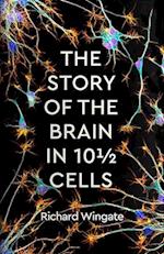 The Story of the Brain in 101/2 Cells