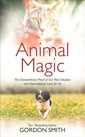 Animal Magic