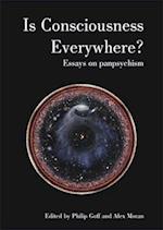 Is Consciousness Everywhere?