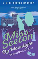 Miss Seeton Mystery: Miss Seeton By Moonlight (Book 12)