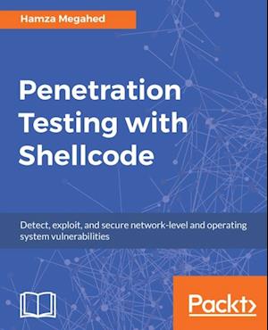 Penetration Testing with Shellcode