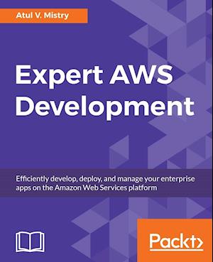 Expert AWS Development