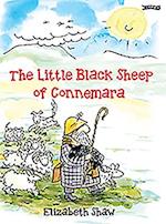 The Little Black Sheep of Connemara